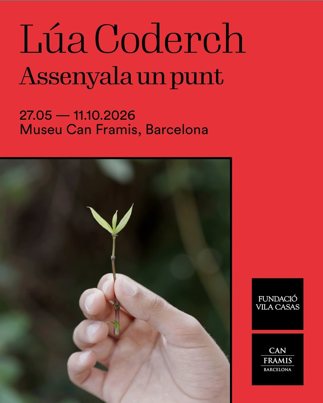 Imagen del evento Assenyala un punt